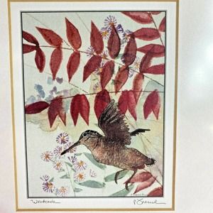 Woodcock Bird Watercolor Lithograph Signed by Polly French Framed Matted